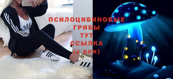 гашик Куйбышев