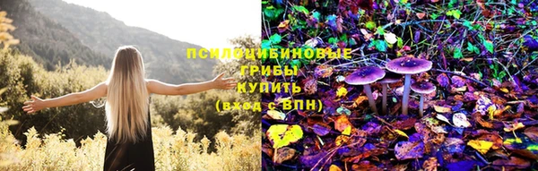 мяу мяу мука Кукмор